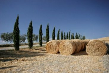 Bed and Breakfast Casa Vacanze Santa Caterina  | Asciano | Siena | Italia 6