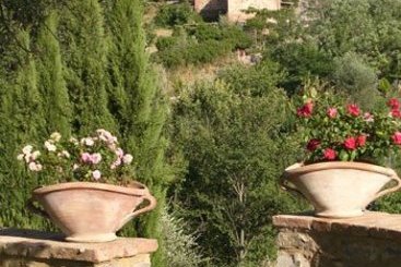 Fattoria Di Corsignano  | Vagliagli | Siena | Italia 5