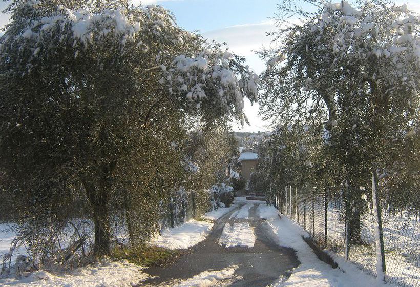 Bed and Breakfast Gli Archi  | Siena | Siena | Italia 3