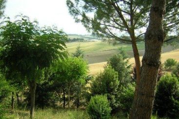 L Albergaccio   | Siena | Siena | Italia 3