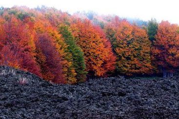 Bed and Breakfast Sotto Il Vulcano   | Catania | Catania | Italia 5