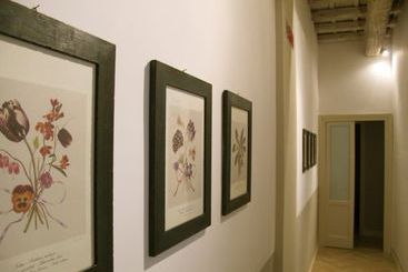 The Bluehostel  | Roma | Roma | Italia 2