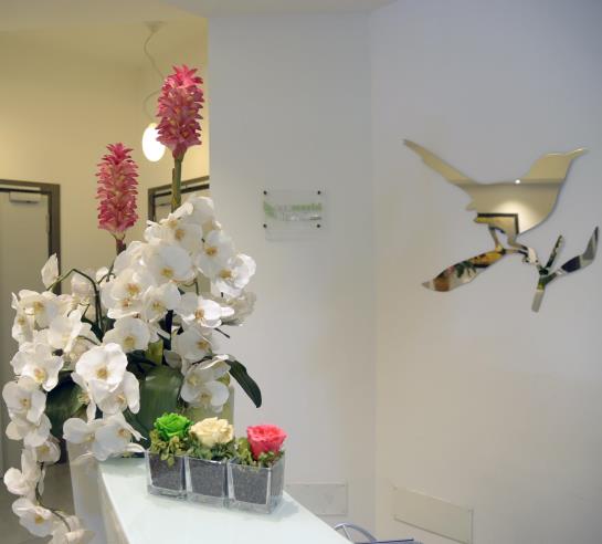 Hotel Continental  | Zola Predosa | Bologna | Italia 1