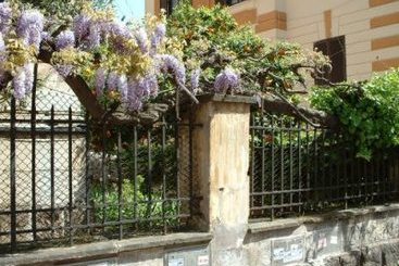 Puss In Boots  | Roma | Roma | Italia 3