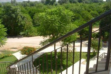 Bed and Breakfast Agriturismo Don Mauro   | Floridia | Siracusa | Italia 2