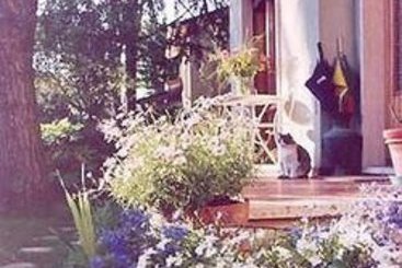 Bed and Breakfast La Casa Nei Pini  | Viareggio | Lucca | Italia 1