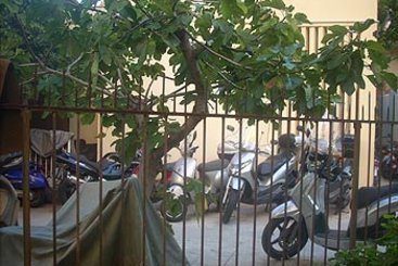 Bed and Breakfast Bed&Breakfast Restivo Palermo  | Palerme | Palerme | Italie 1