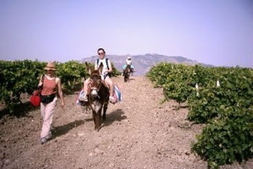 Hotel Bioagriturismo La Talpa Palermo