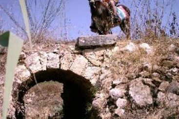 Hôtel Bioagriturismo La Talpa  | Palerme | Palerme | Italie 1