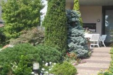 Bed and Breakfast Silvana  | Bergamo | Bergamo | Italia 1