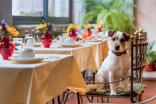 Hotel Torre Guelfa  | Firenze | Florence | Italia 15