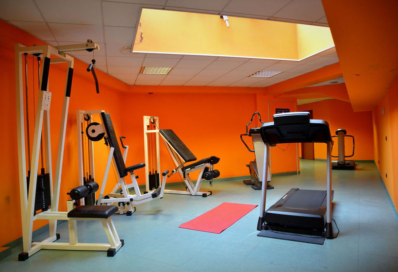 Hotel Visconti  | Melzo | Milano | Italia 9