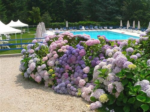 Park Hotel Arcobaleno  | Pistoia | Pistoia | Italia 16