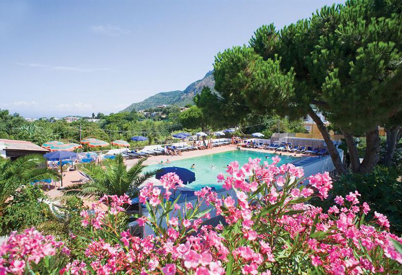 Hotel Al Bosco  | Forio d'Ischia | Napoli | Italia 12