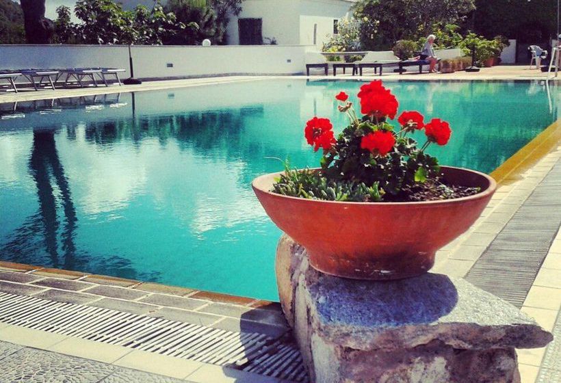 Hotel Al Bosco  | Forio d'Ischia | Napoli | Italia 18