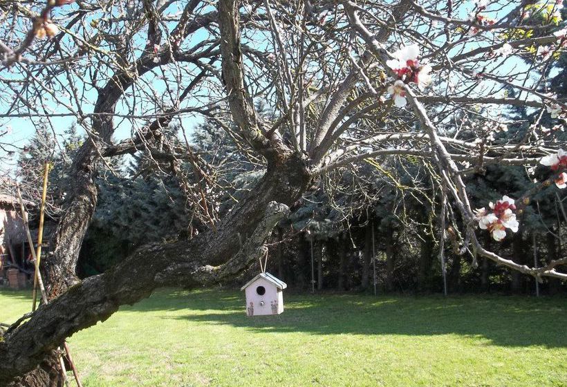 Bed & Breakfast A Casa Vittoria  | Bologna | Bologna | Italia 4