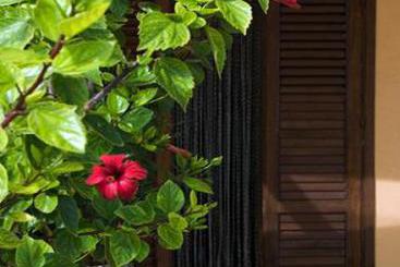 Residence Hibiscus  | Trapani | Trapani | Italia 1