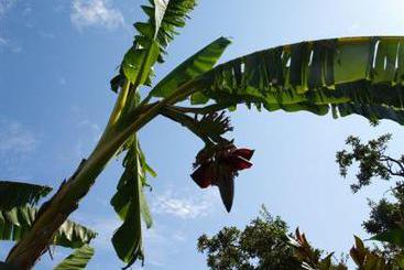 Hotel di Montagna Agriturismo Monte Alto  | Patti | Messina | Italia 6