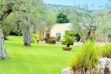 Hotel Degli Ulivi  | Ferrandina | Matera | Italia 3