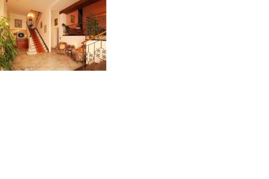 Hotel Massimo  | Viareggio | Lucca | Italia 3