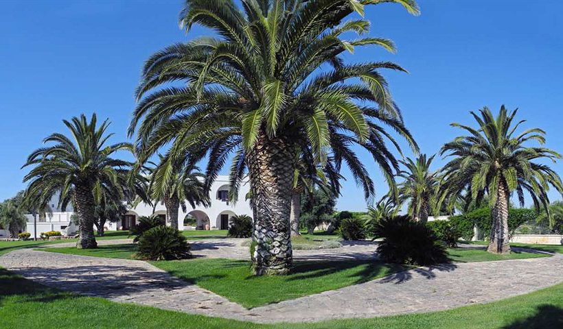 Hotel Masseria Tutosa  | Ostuni | Brindisi | Italia 10