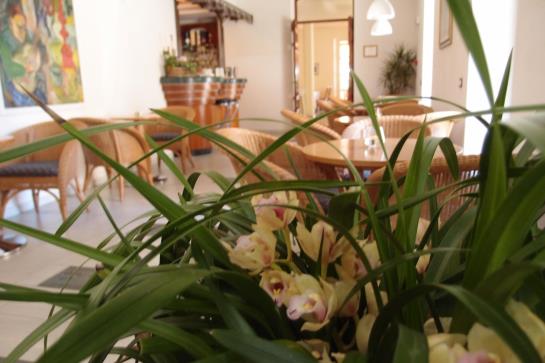 Hotel Regina  | Forte dei Marmi | Lucca | Italia 14