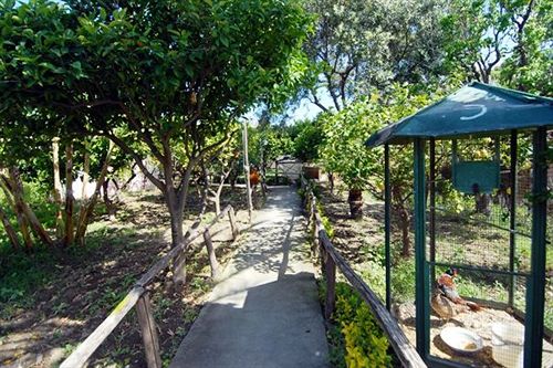 Hotel Terme Colella Forio d'Ischia