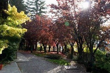 Appartamenti Bardonecchia  | Bardonecchia | Torino | Italia 7