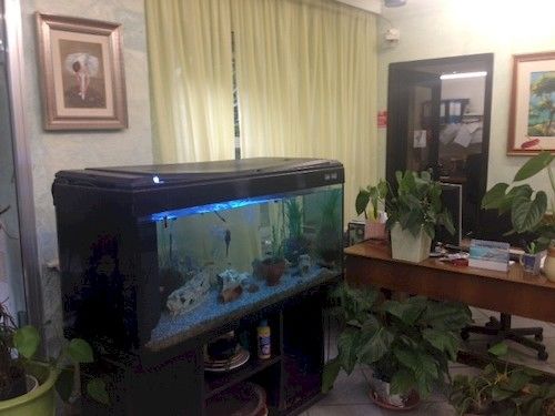 Hotel Minerva  | Pietra Ligure | Savona | Italia 12