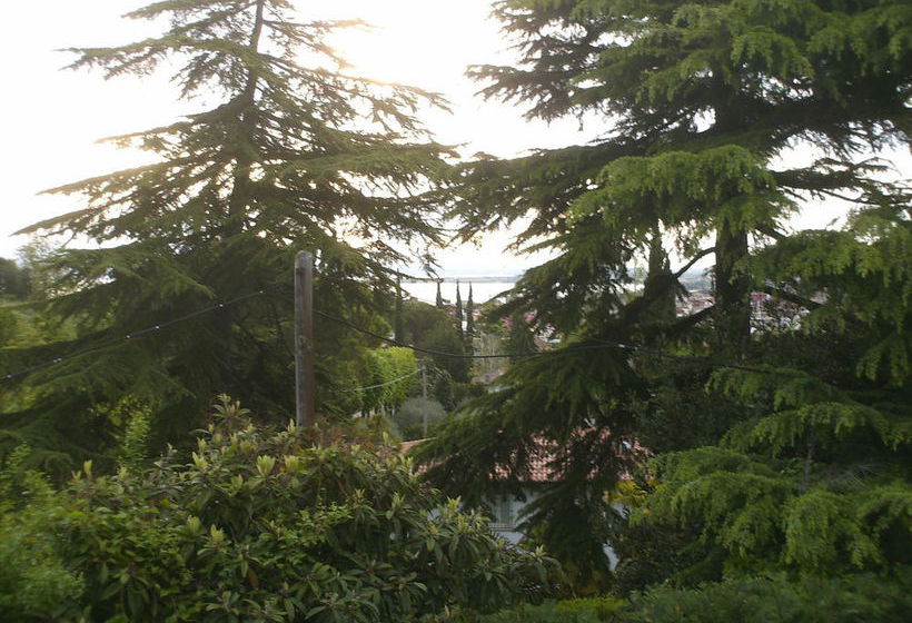 Residence San Lorenzo  | Desenzano del Garda | Brescia | Italia 19