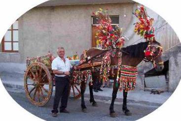 Bed & Breakfast Sciarammola  | Patti | Messine | Italie 3