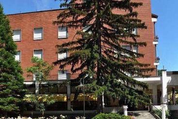 Hotel Salus  | Medesano | Parma | Italia 1