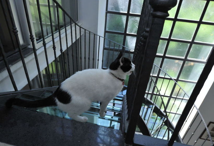 Hotel Au Relais Rivoli  | Sorrento | Napoli | Italia 13