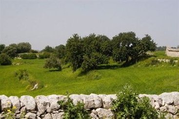 Marsa Sicla Residence  | Scicli | Raguse | Italie 6