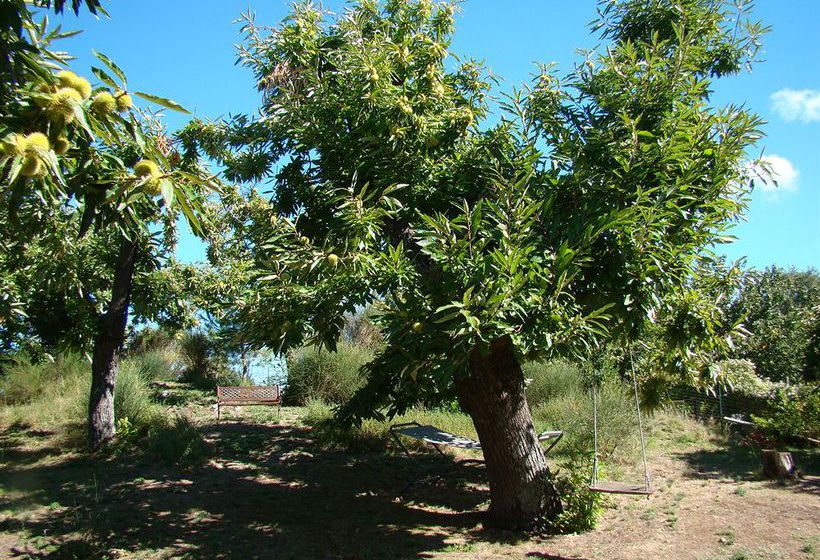 Borgo Tepolini Bed & Breakfast  | Castel del Piano | Grosseto | Italia 5