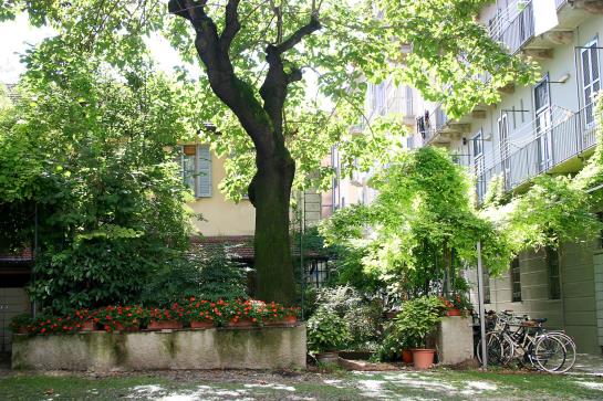 Bed & Breakfast Milano Bella  | Milano | Milano | Italia 12
