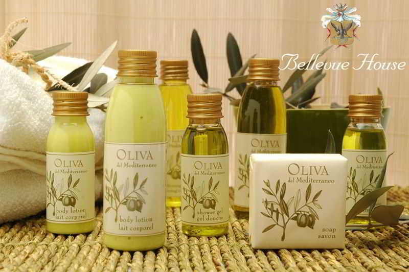 Bed & Breakfast Bellevue House  | Firenze | Florence | Italia 10