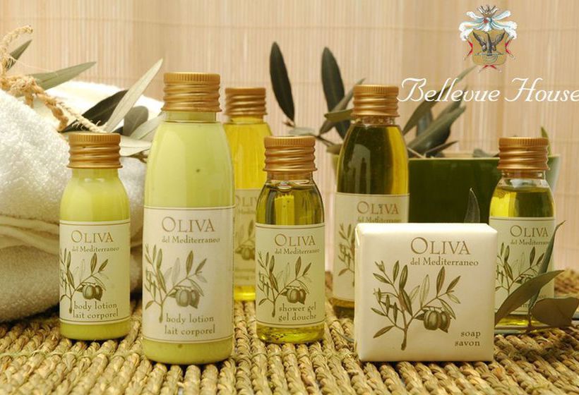 Bed & Breakfast Bellevue House  | Firenze | Florence | Italia 2