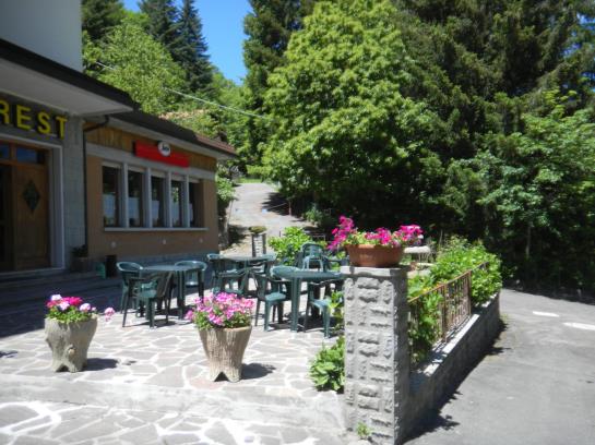 Hotel Everest  | Bologna | Bologna | Italia 18