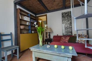 Colosseum Comfort Apartment  | Roma | Roma | Italia 2