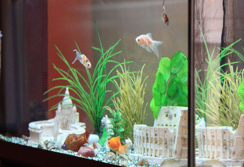 Bed and Breakfast Bed&Breakfast Orlando Innamorato  | Roma | Roma | Italia 9