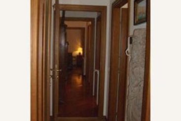 Vatican Garden  | Roma | Roma | Italia 6