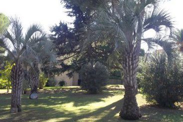 Hotel Casa Monte Tabor  | Roma | Roma | Italia 1