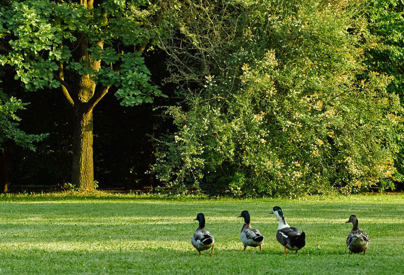 Relais Agriturismo Ormesani  | Marcon | Venezia | Itália 15