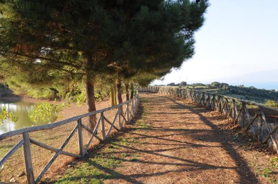 Popilia Country Resort  | Maierato | Vibo Valentia | Italia 10