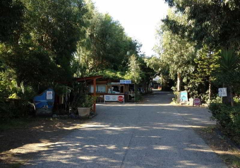 Camping La Focetta Sicula  | Taormina | Messina | Italia 3