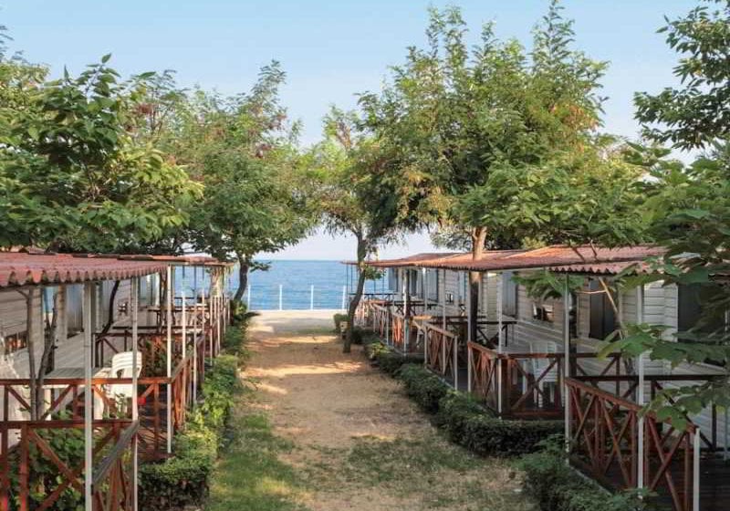 Camping La Focetta Sicula  | Taormina | Messina | Italia 6