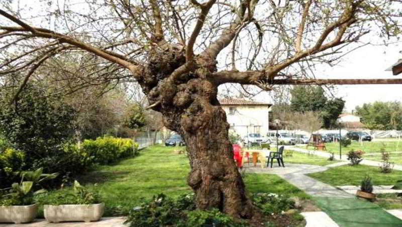 Bed and Breakfast Le Torri  | Pisa | Pisa | Italia 2