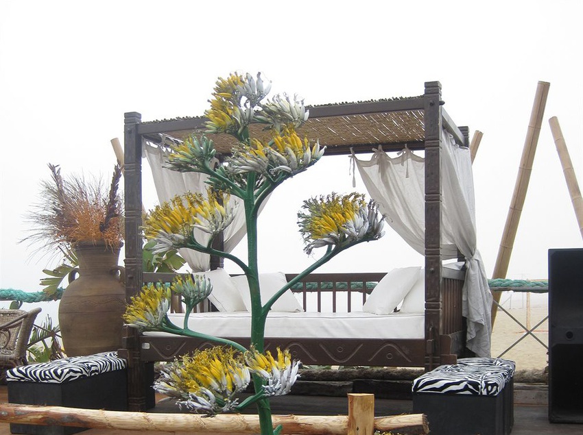 Hotel Villaggio Internazionale La Plaja  | Catania | Catania | Italia 9