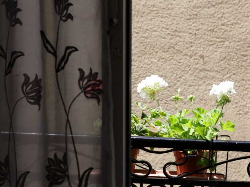Bed and Breakfast Kore Rooms  | Trapani | Trapani | Italia 1